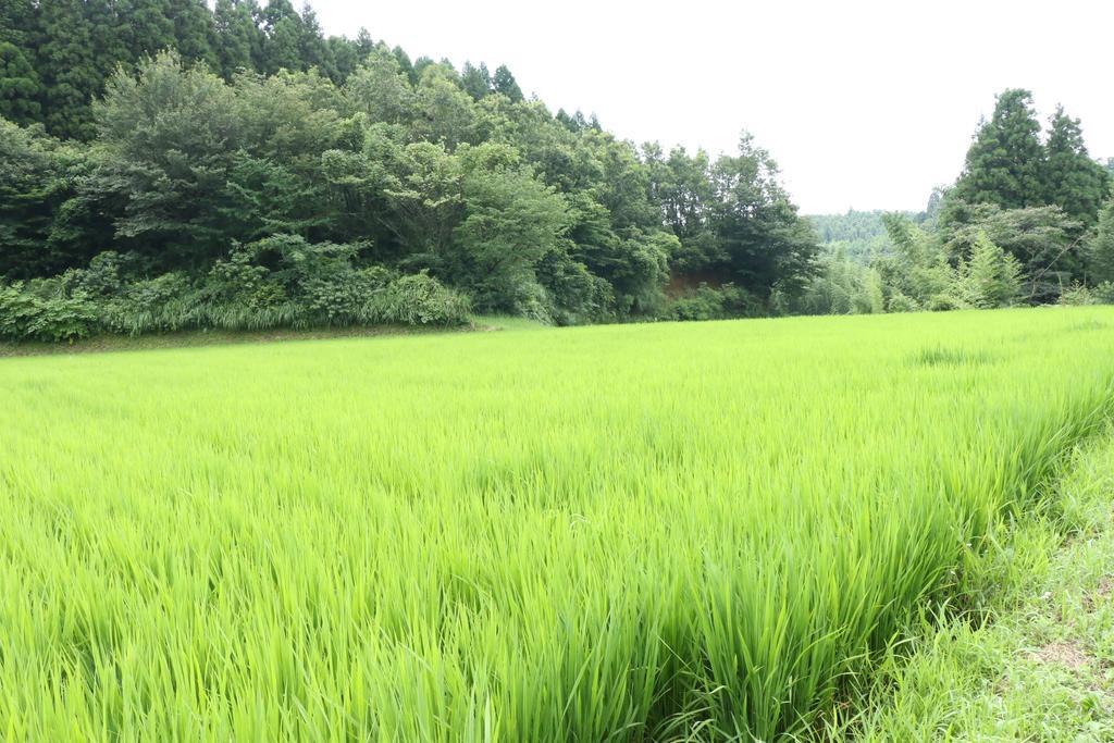 Minshuku Shiroyama Hotel Taketa ภายนอก รูปภาพ